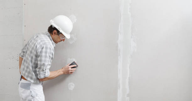 Best Fire-Damaged Drywall Repair  in Elkhart, IN